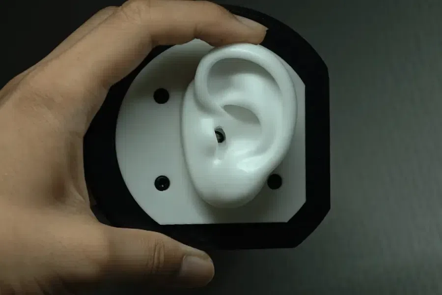 Silicon Ears